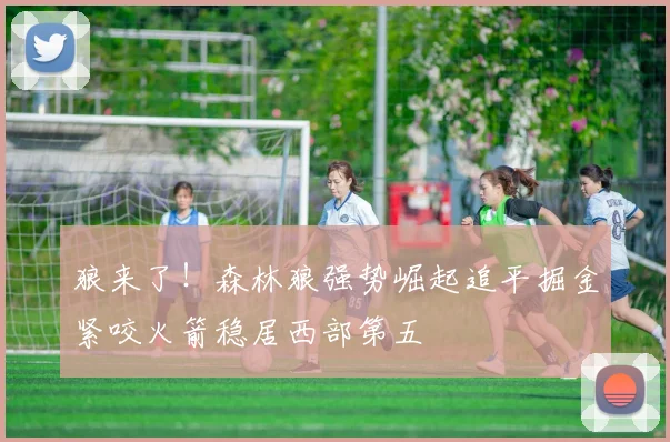 狼来了！森林狼强势崛起追平掘金紧咬火箭稳居西部第五