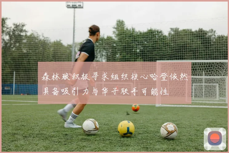 森林狼积极寻求组织核心哈登依然具备吸引力与华子联手可能性