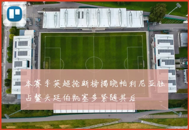 本赛季英超抢断榜揭晓帕利尼亚独占鳌头廷伯凯塞多紧随其后