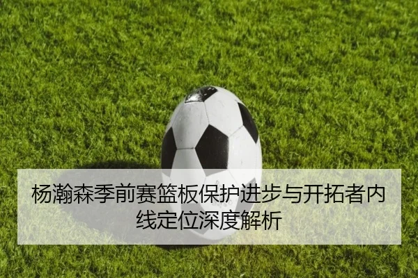 杨瀚森季前赛篮板保护进步与开拓者内线定位深度解析 - dafabet